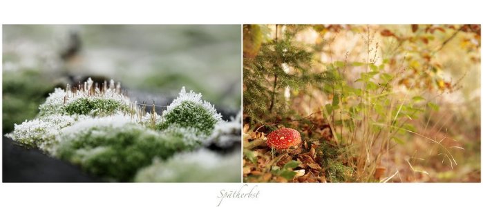 Spaetherbst_Pregizer