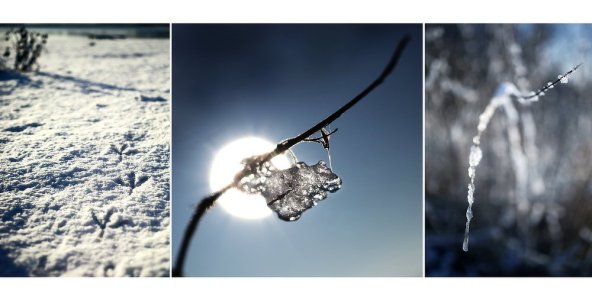 winter_signs_Pregizer