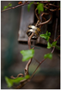 Ringe_Pregizer