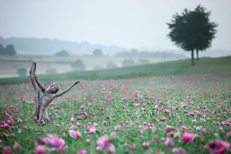Morning_flower_Pregizer