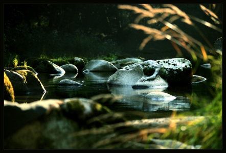 fairy_water_Pregizer