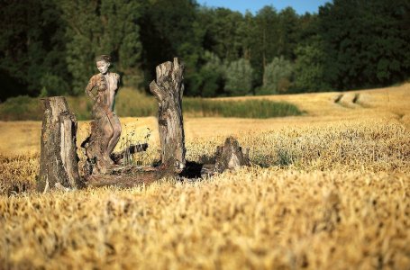 fields_of_summer_Pregizer