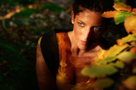 autumnlights_Pregizer