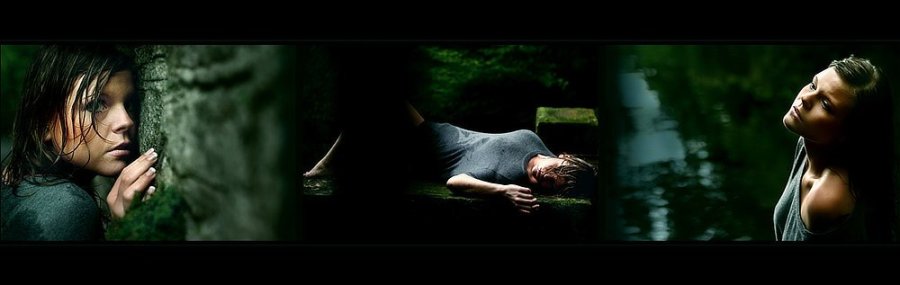 Dark wooden stories_Pregizer